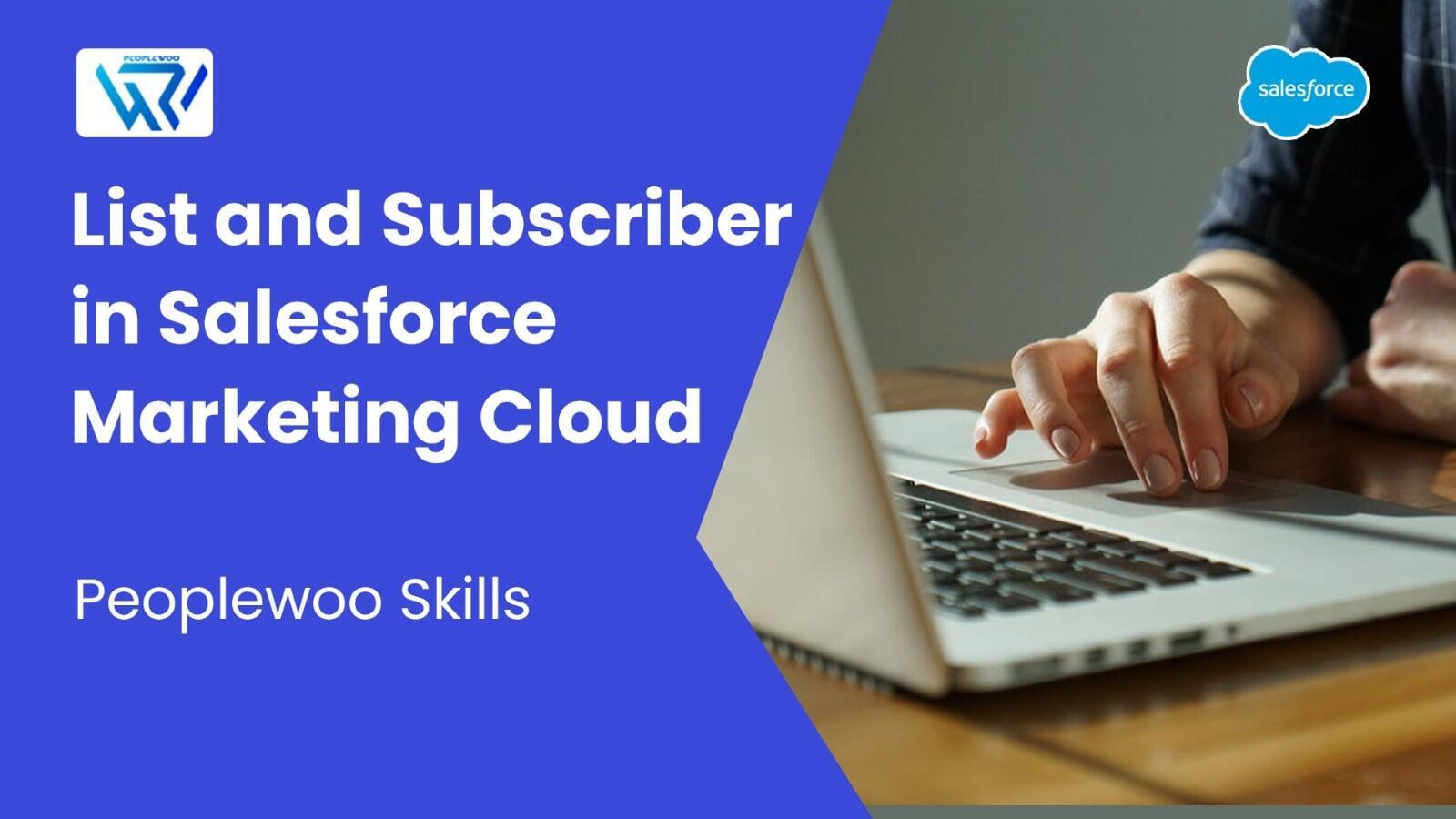 List and Subscriber in Salesforce Marketing Cloud | Peoplewoo Skills